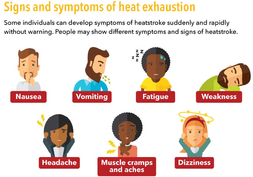 Heat_symptoms.jpeg