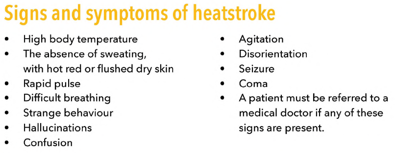 Signs_of_heat_stroke.jpeg